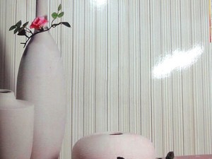 Aurora 極光 壁紙 AR9271