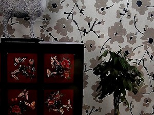 Aurora 極光 壁紙 AR9290