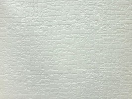 New Style 新潮流2 壁紙 21111