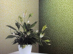 New Style 新潮流2 壁紙 21163