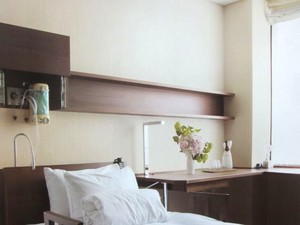 Will 2014-2017 壁紙 日本壁紙 LW-374