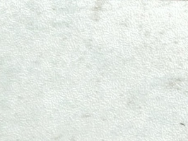 雲碧 1.5系列 塑膠地磚 1591