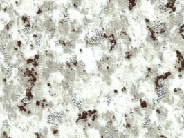 雲碧 1.5系列 塑膠地磚 1595