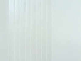 New Color 2 壁紙 BP369151