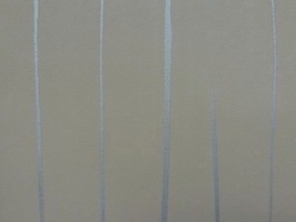 New Color 2 壁紙 BP369162