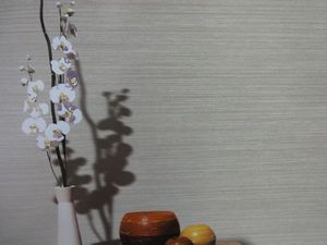 VIDIA 威迪亞 世佑壁紙 壁紙 VD-2155