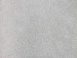 VIDIA 威迪亞 世佑壁紙 壁紙 VD-2189