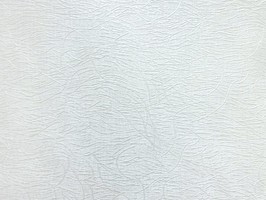 VIDIA 威迪亞 世佑壁紙 壁紙 VD-2193
