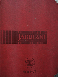 喬布拉尼JABULANI 壁紙