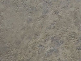 南亞華麗地板 安利系列 塑膠地磚 8N7-16039519