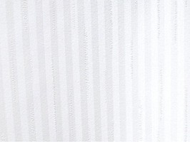 Scenia Wallpaper 2 壁紙 158011