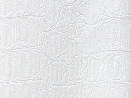 Scenia Wallpaper 2 壁紙 158191
