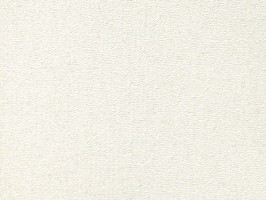 Scenia Wallpaper 2 壁紙 158202