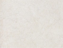 Scenia Wallpaper 2 壁紙 55106