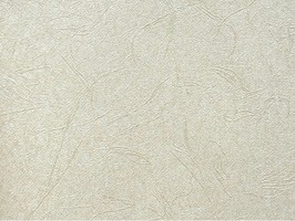 Scenia Wallpaper 2 壁紙 55107