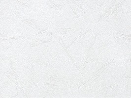 Scenia Wallpaper 2 壁紙 55108