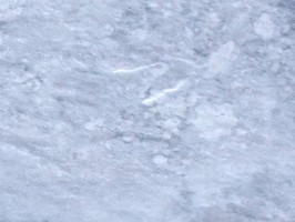 摩登 和樂 塑膠地磚 J10-16041183