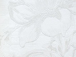 義大利之旅8 Platinum 壁紙 56002