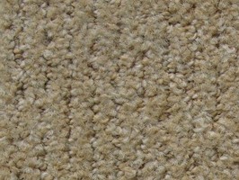 Pacific Carpets 地毯 156801