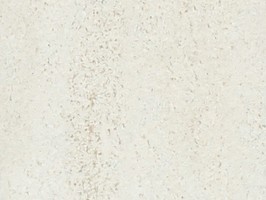 Winton 磚家系列 II 3.0 塑膠地磚 塑膠地板 F-6802
