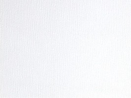 色彩美學 Colour Choice 壁紙 158021