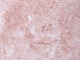 優品28系列 Graceful 28 塑膠地磚 2839