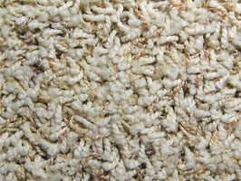 MeiChi CARPET 雷克系列 地毯 3650