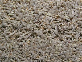 MeiChi CARPET 雷克系列 地毯 3680
