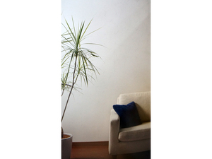  HOME 日本壁紙2015-2017 RH-9078