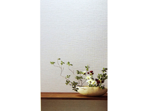  HOME 日本壁紙2015-2017 RH-9215