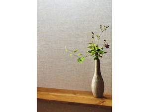  HOME 日本壁紙2015-2017 RH-9216