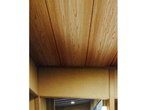  HOME 日本壁紙2015-2017 RH-9237