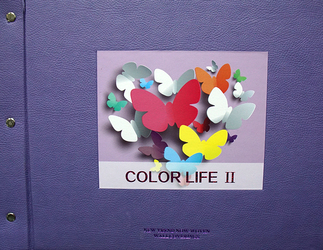 多彩生活2COLOR LIFE II 壁紙