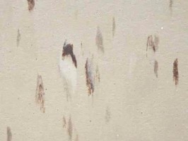 采麗系列 CAPOU TILE 塑膠地磚 地板 1509