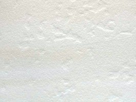 設計家系列 Luxury vinyl tiles 塑膠地磚 地板 5501