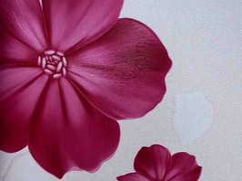 百分百 壁紙 MOR1031