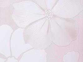 百分百 壁紙 MOR1035