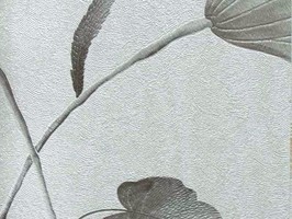 阿沙一 Asahi壁紙 180-1