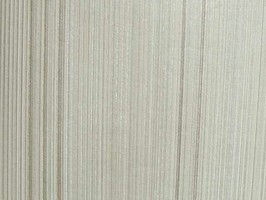 時尚風采 壁紙 AM96271
