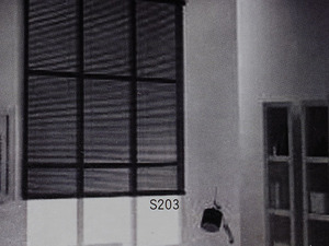 華簾2022 捲簾 S203