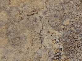 ARTLINE 塑膠地磚 塑膠地板 大陸製造 DS1006