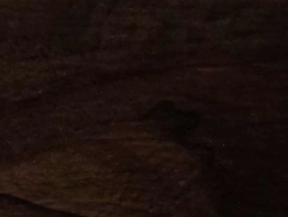 奈米101系列NANO VINYL FLOOR TILE 塑膠地磚 塑膠地板 1N56