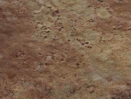 奈米101系列NANO VINYL FLOOR TILE 塑膠地磚 塑膠地板 1N71