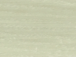 XUNSHI FLOORING BERINGER SERIES 貝林哲塑膠地磚 塑膠地板 BRG0901