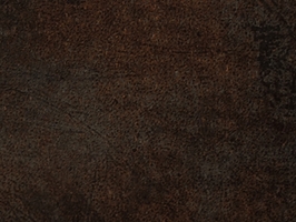 XUNSHI FLOORING 卡迪娜CARDINALE SERIES塑膠地磚塑膠地板 CDN0821