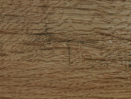 Wood Grain Floor 帝臣 168系列 塑膠地磚 塑膠地板 p5209