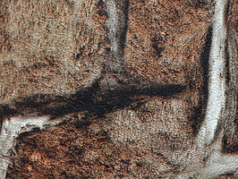 SHOW SPACE 展場專輯 壁紙 209061