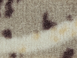 MACARON 瑰麗經典系列 滿鋪地毯 A1