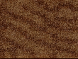 MACARON 瑰麗經典系列 滿鋪地毯 B1