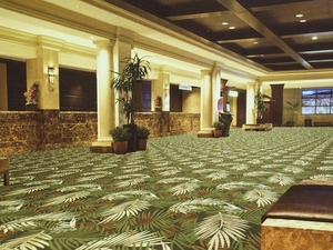 MACARON 瑰麗經典系列 滿鋪地毯 B3